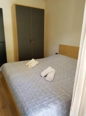 Beautiful Apartment in Bakuriani